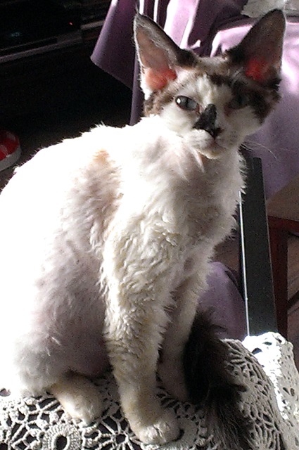zdjęcie